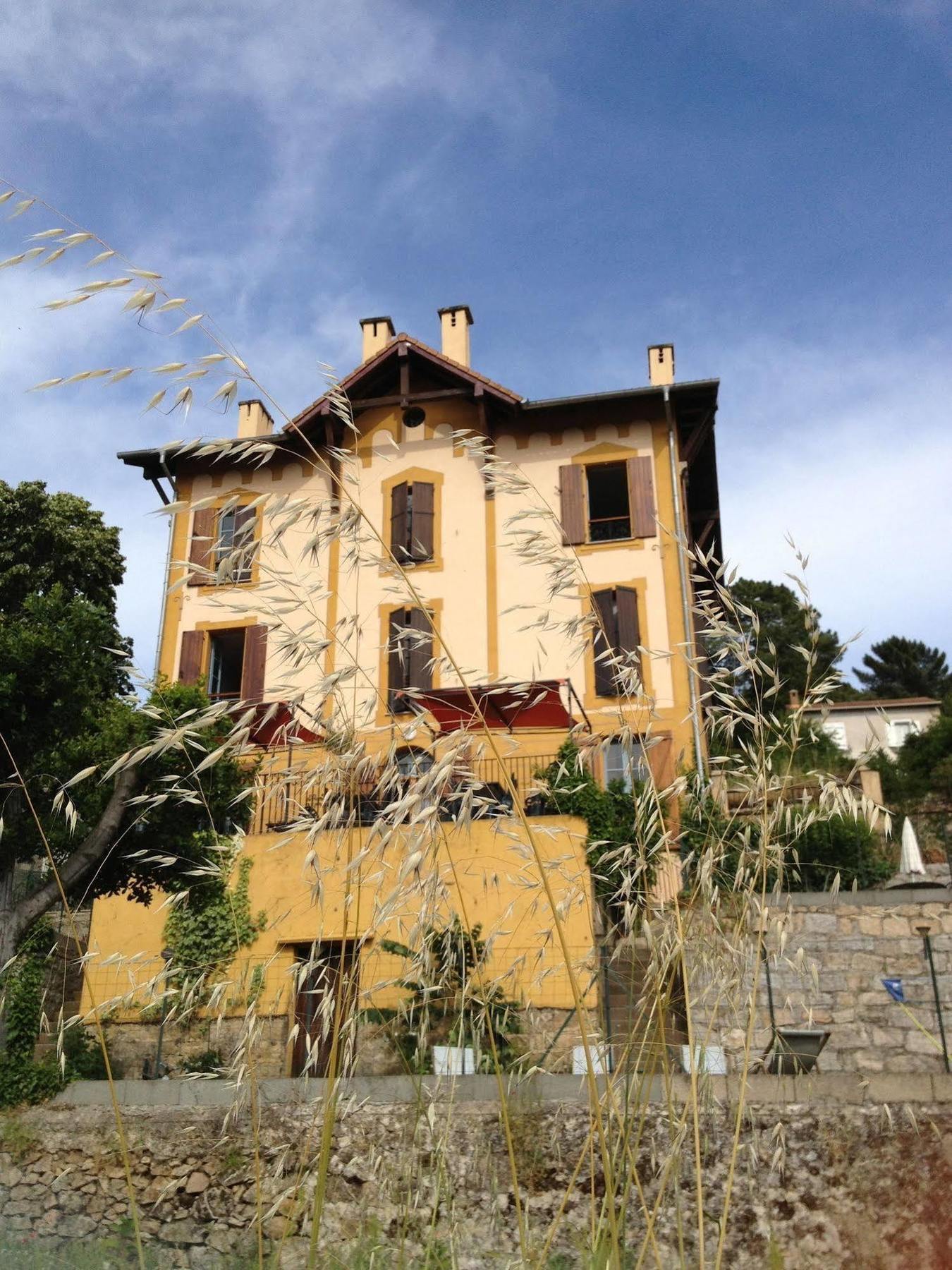 Gite Du Chalet Pietri Olivese Eksteriør billede